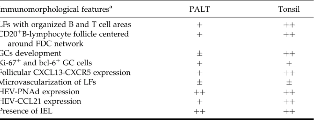 Fig. 4. Panel A: Comparisons of thehistologicalandimmunohis- thehistologicalandimmunohis-tochemical features of PALTand tonsil secondary LFs