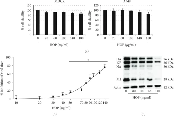 Figure 1: (a) Cell viability (percentage of control) of MDCK and A549 cells treated with diﬀerent concentrations of HOP extract for 24 h as evaluated by MTT assay