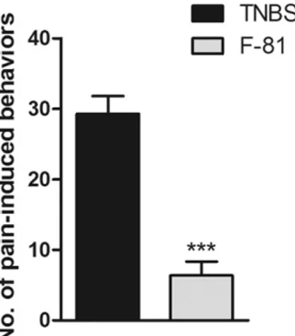 Figure 5. The anti-nociceptive effect of F-81 in the mustard oil-induced pain in mice with acute TNBS-induced colitis