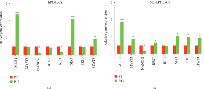 Figure 9: Modulation of genes associated with stemness characteristics at late passage