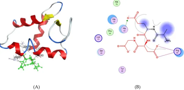 Figure 5. (A) The interaction of the AEDG peptide (Ala-Glu-Asp-Gly, Epitalon) with histone H1/6