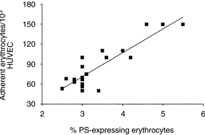 Fig. 1. Adherence of erythrocytes from uremic patients on hemodialy- hemodialy-sis (N ⫽ 20) and normal subjects (N ⫽ 20) to endothelial cell monolayers.