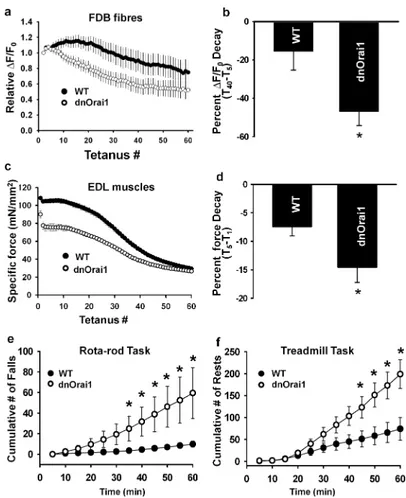 Figure 8. dnOrai mice exhibit increased susceptibility to fatigue