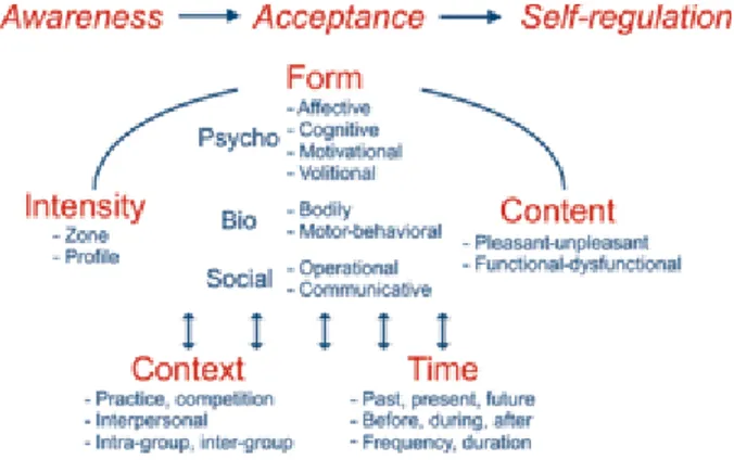 Figure 2.  Emotional self-regulation in the framework 
