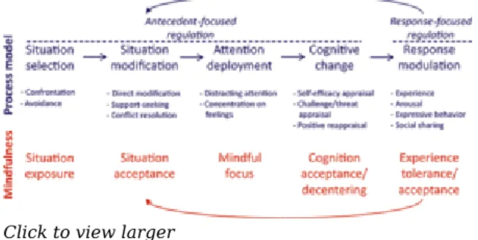 Figure 1.  Emotional self-regulation in the framework 