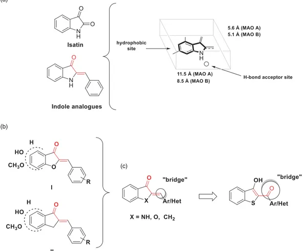 Figure 1. (a) Molecular properties of the pharmacophore for the inhibition of the hMAOs