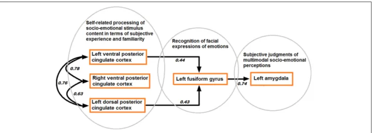FIGURE 7 | Model of directional effects (indicating standardized path coefficients) between posterior cingulate cortex, fusiform gyrus, and amygdala obtained by SEM for the differentiation between congruent and incongruent stimuli, and a recapitulation of 
