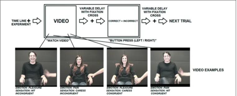 FIGURE 1 | Visualization of the experimental stimuli and procedure.