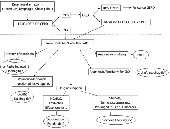 Figure 5  Diagnostic flow-chart proposed in patients with symptoms suggestive of esophagitis (heartburn, dysphagia, chest pain and others)