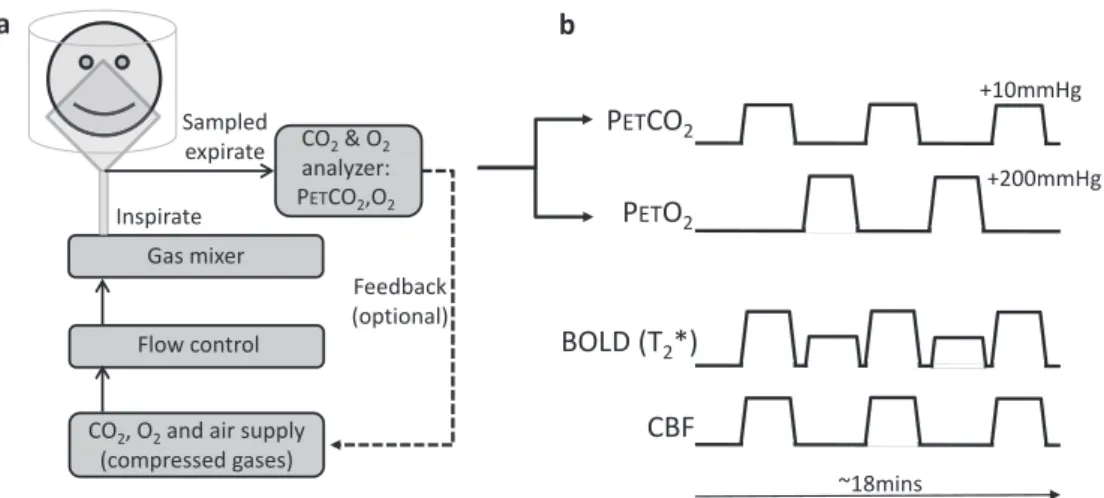 Fig. 2. Schematic of respiratory manipulations needed for calibrated fMRI (a and b) and the corresponding idealised BOLD and CBF time-courses (b)