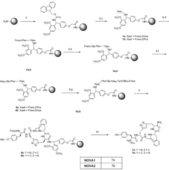Figure 2.  Reagents and conditions (a) Fmoc-Rink amide-linker, TBTU, HOBt anhydrous, DIPEA, DMF, 