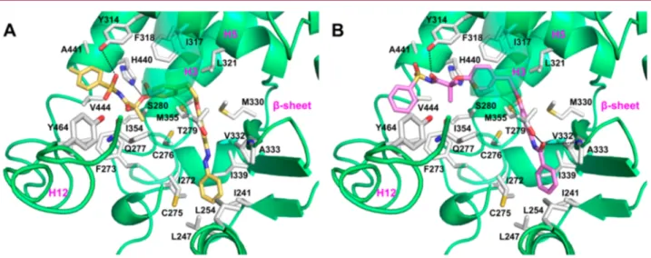 Figure 6. Binding mode of compounds 3a (A, yellow sticks) and 10e (B, violet sticks) in PPARα LBD represented as green ribbon model