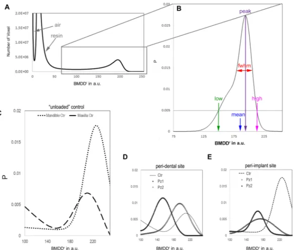 Figure 3.  Relative bone mineral density distribution (BMDD r ) of the mineralized bone