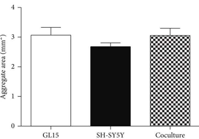 Figure 7: Cell aggregate sizes. Quantification of section area of GL15, SH-SY5Y, and cocultured (GL15 plus SH-SY5Y) cell  aggre-gates (as indicated)