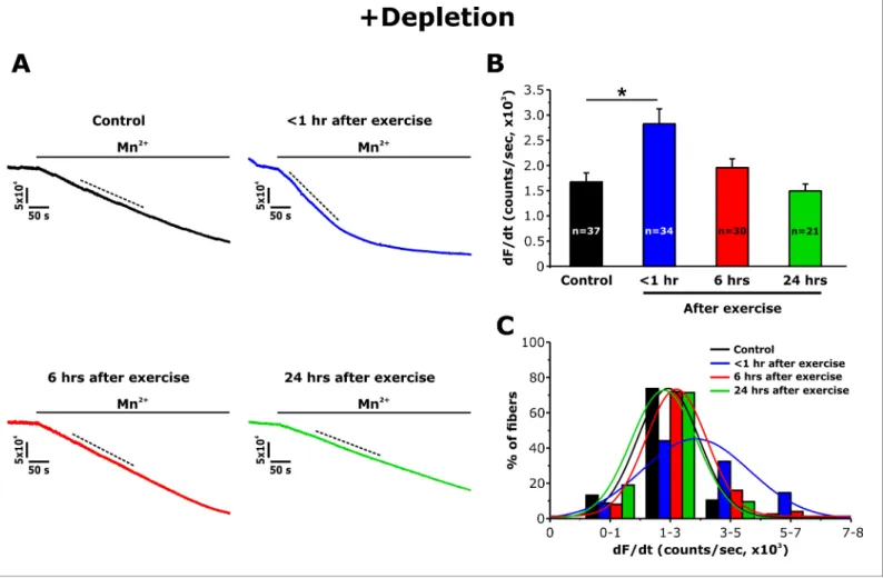 Figure 3. Effect of exercise on the maximum rate of Mn 2+ quench following store depletion