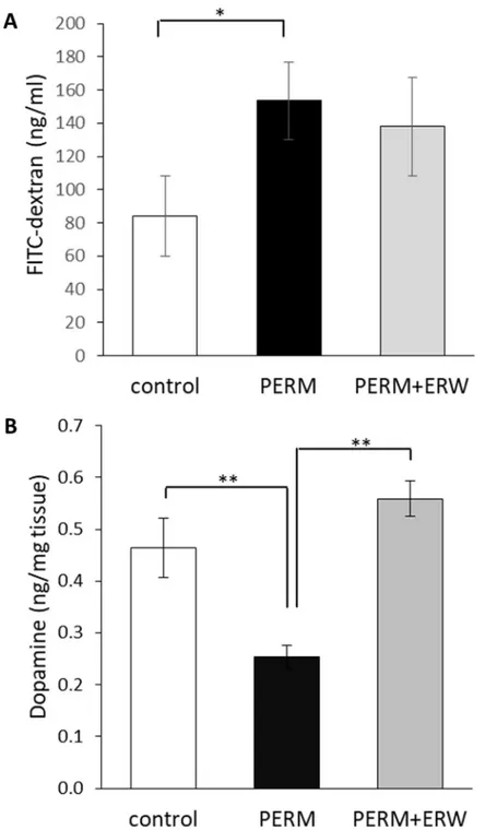 Fig 1. Plasma FITC-dextran concentrations (ng/mL) (A) and striatum dopamine levels (B) in 2-months-old rats treated in early life with vehicle (control), permethrin (PERM) or permethrin+electrolyzed reduced water (PERM +ERW)