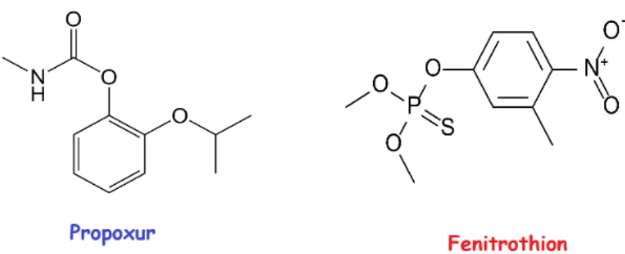 Figure 1. Molecular formulas of the studied pesticides. 