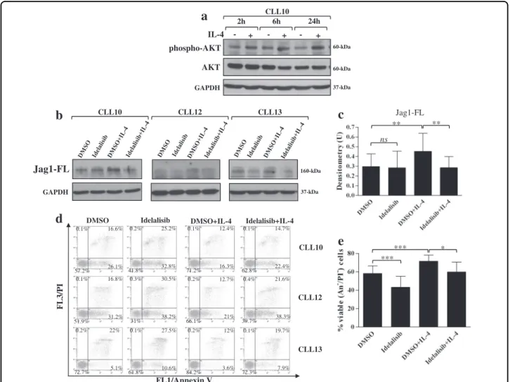 Fig. 5 Effects of IL-4 on Jag1 expression in CLL cells are mediated by the PI3K δ/AKT signaling