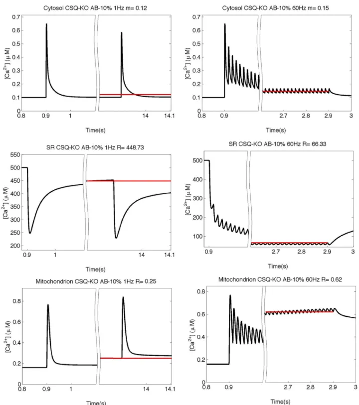 Fig 5. Simulation of the free calcium concentrations in CSQ-KO with an AB buffering capacity of 10% of that of CSQ