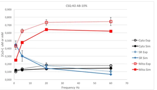 Fig 6. Comparison between the simulation and experiments in CSQ-KO with an AB buffering capacity of 10% of that of CSQ