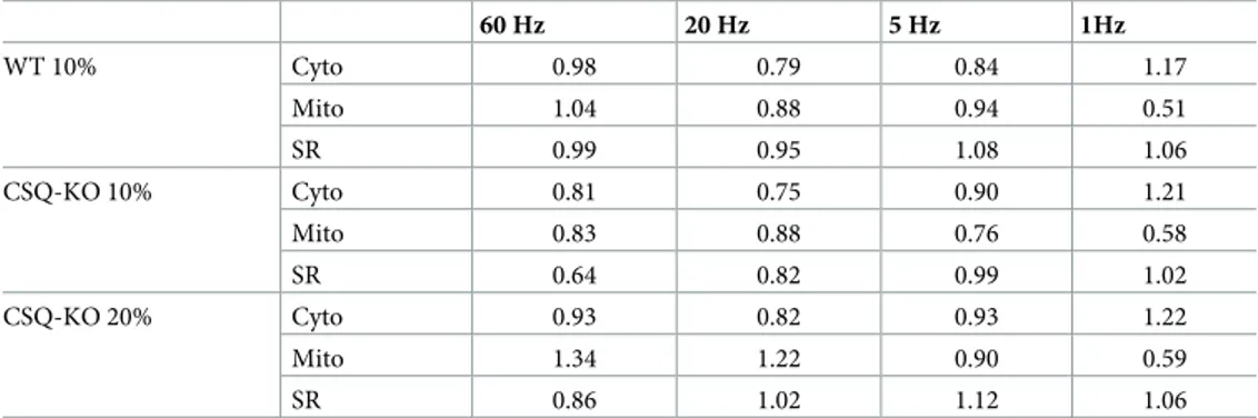 Table 3. Simulated/Experimental ratio for [Ca 2+ ] in