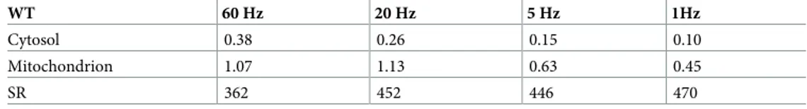 Table 1. Experimental [Ca 2+ ] in μM for WT muscle fibers. These values are averages measured at steady state during stimulation trains at various rates (60, 20, 5, and 1 Hz).