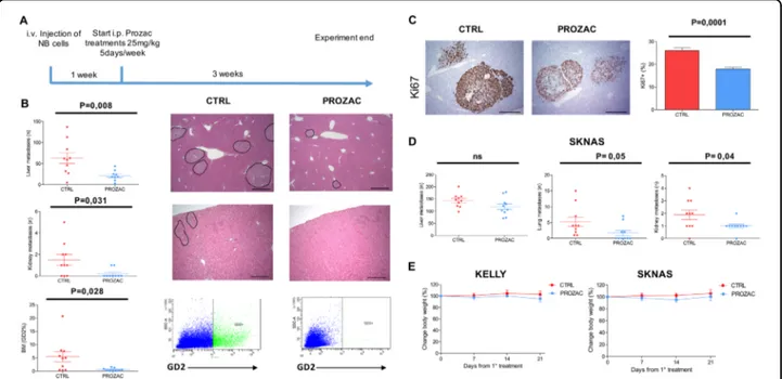 Fig. 4 Prozac inhibits metastasis formation and proliferation in mouse models of neuroblastoma