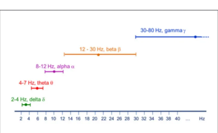 FIGURE 2 | Major brain rhythms as classified by their frequency span.