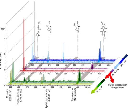 Figure 3.  D. orbita secondary metabolite mass spectra from across the reproductive cycle