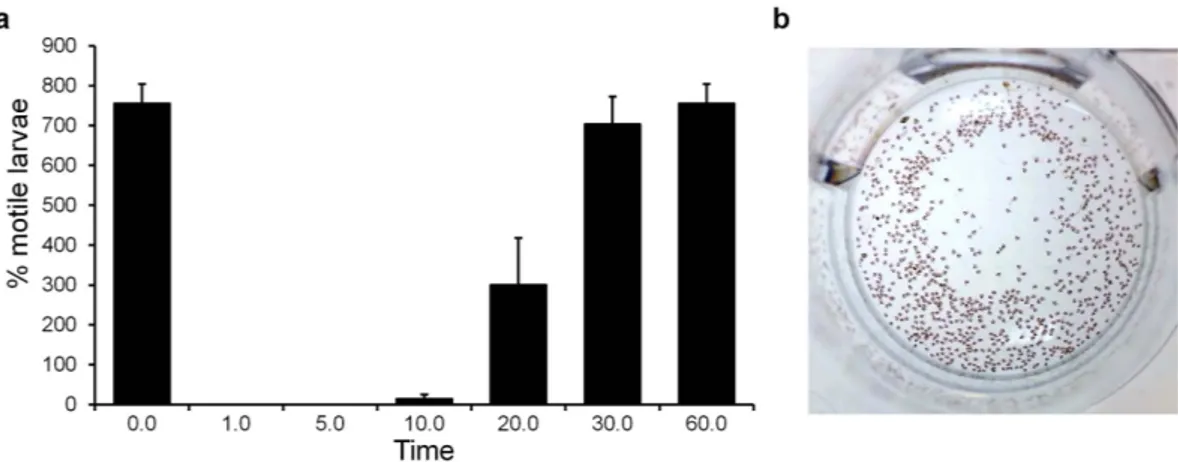 Figure 6.  The proposed biological role of murexine in the D. orbita egg capsules using a larval motility  assay in the presence of 50 ppm murexine extract: (a) percentage of motile larvae counted using short 30 s  videos over 60 min and (b) a video still 