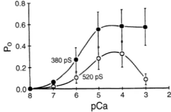 FIG.  5.  Open  probability  (P,)  of  RyR  channels  from  toadfish  white 