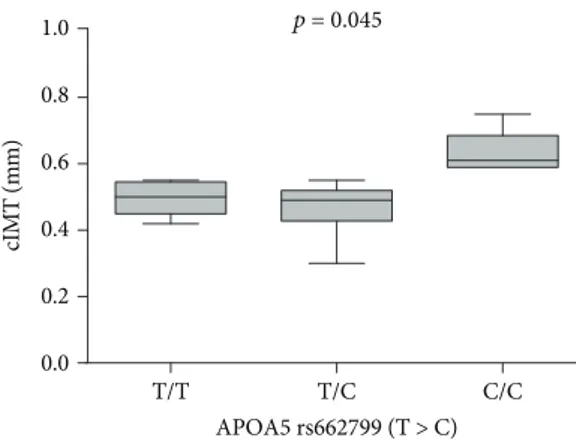 Figure 2: Box-whisker graphs of cIMT values with respect to APOA5 genotypes. Box-whisker plots show the 25 th and 75 th percentile range (box) with Tukey 95% conﬁdence intervals (whiskers) and median values (transverse lines in the box)