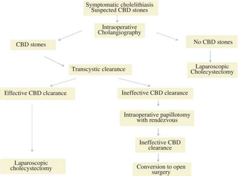 Figure 1. Flow chart in the treatment of cholecysto-choledocholithiasis. CBD, common bile duct.