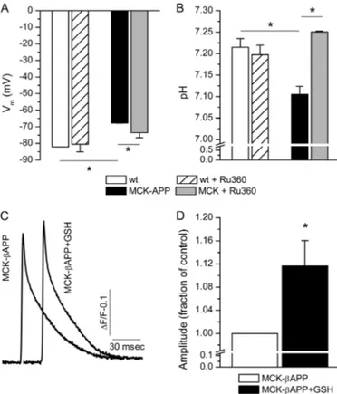 FIGURE 7. Alterations in V m and pH in MCK- ␤APP muscle fibers. A, record- record-ing of restrecord-ing membrane potential (V m ) with microelectrodes in 2-month-old