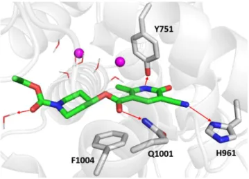 Figure  6.  Zoomed  in  view  of  the  PDE3A  binding  site.  DF492is  rendered  as  green  sticks  in  the 