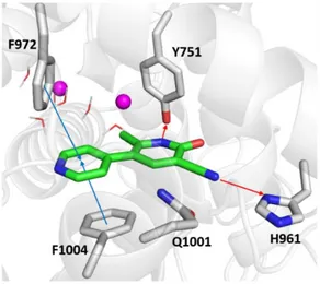 Figure 7. Zoomed in view of the PDE3A binding site. Milrinone is rendered as green sticks in the 