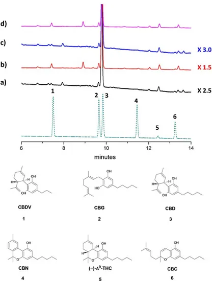 Figure 1. UHPLC chromatograms of inflorescences ethanol extracts from: (a) Uso-31 cultivar; (b)  Felina 32 cultivar; (c) Ferimon cultivar; (d) Fedora 17 cultivar