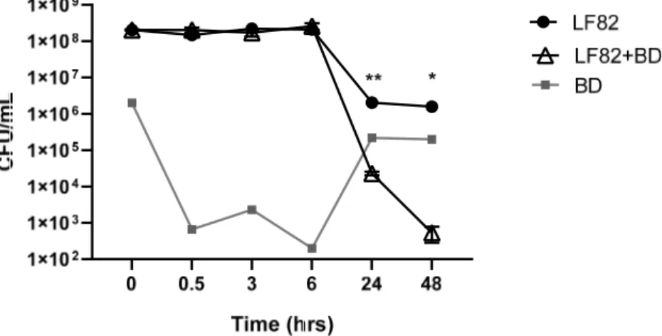 Figure 1. Predation assay of Bdellovibrio bacteriovorus on Adherent-Invasive Escherichia coli (AIEC)  strain LF82 broth culture