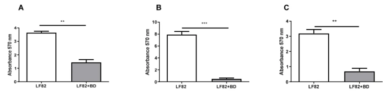 Figure 2. B. bacteriovorus predation assay on LF82 biofilm. (A) 72-h-old preformed LF82 biofilm was  treated with the predator (BD) for 24 h (grey bar); as a control, 72-h-old LF82 biofilm was not exposed  to BD (white bar), (p = 0.0022)