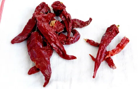 Figure 1. Sweet (left) and hot peppers (right) from Altino (Chieti, Abruzzo, Italy). 