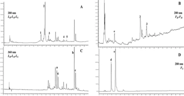 Figure 3. Chromatograms of phenolic compounds in leaf and fruit extracts by HPLC-DAD analysis 