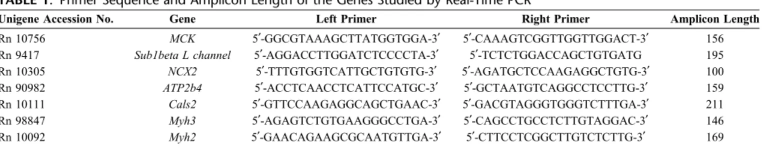 TABLE 1. Primer Sequence and Amplicon Length of the Genes Studied by Real-Time PCR
