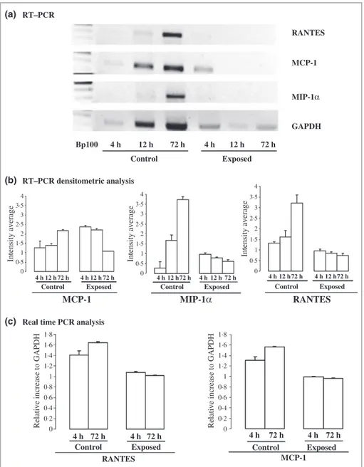 Fig 3. Effect of exposure to extremely low frequency electromagnetic field (EMF) on chemokine expression in HaCaT cells