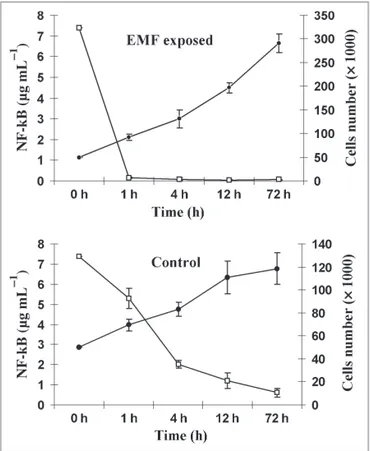 Fig 4. Effect of electromagnetic field exposure on activated NF-jB levels in HaCaT cells