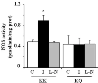 Figure 3. Impact of ENPP1 Q121 variant on NO synthase activ-