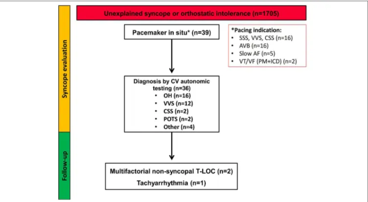 FIGURE 1 | Flow-chart of the study population. The diagram summarizes the diagnostic work-up and follow-up of patients presenting with unexplained syncope or symptoms of orthostatic intolerance