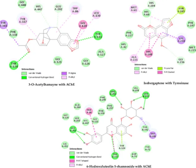 Figure 2. Docked compounds at the active site of the enzyme and their interactions. 