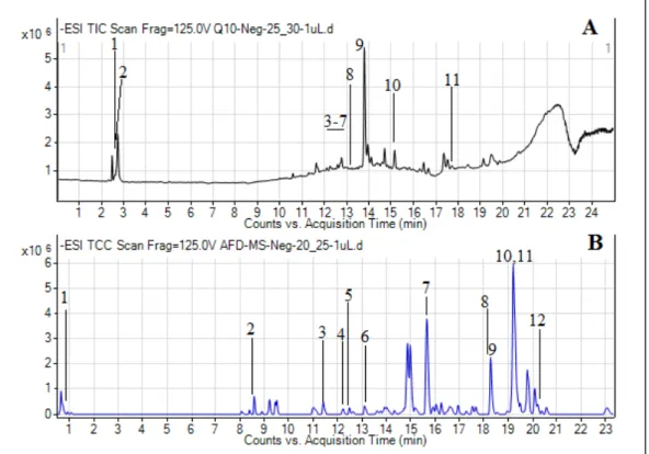 Figure 1. Total ion chromatograms (TICs) of methanol (A) and dichloromethane (DCM) (B) extracts 