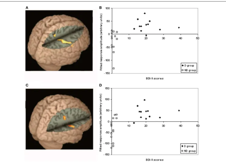 FIGURE 4 | Differences between D–ND groups for end-point and one-step queries. This figure shows the significantly different pattern of activation