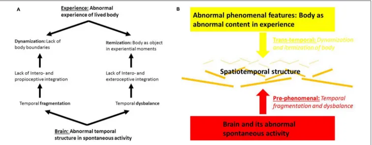 FIGURE 3 | (A) Brain and body experience in schizophrenia. (B) Abnormal pre- and trans-phenomenal features in brain and body experience in schizophrenia.